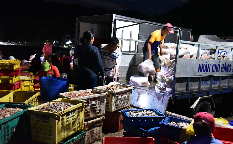 Phú Yên: Chợ đèn pin mà đâu có bán đèn, bán pin, toàn bán những loài tanh tanh trong bóng tối - Ảnh 7.