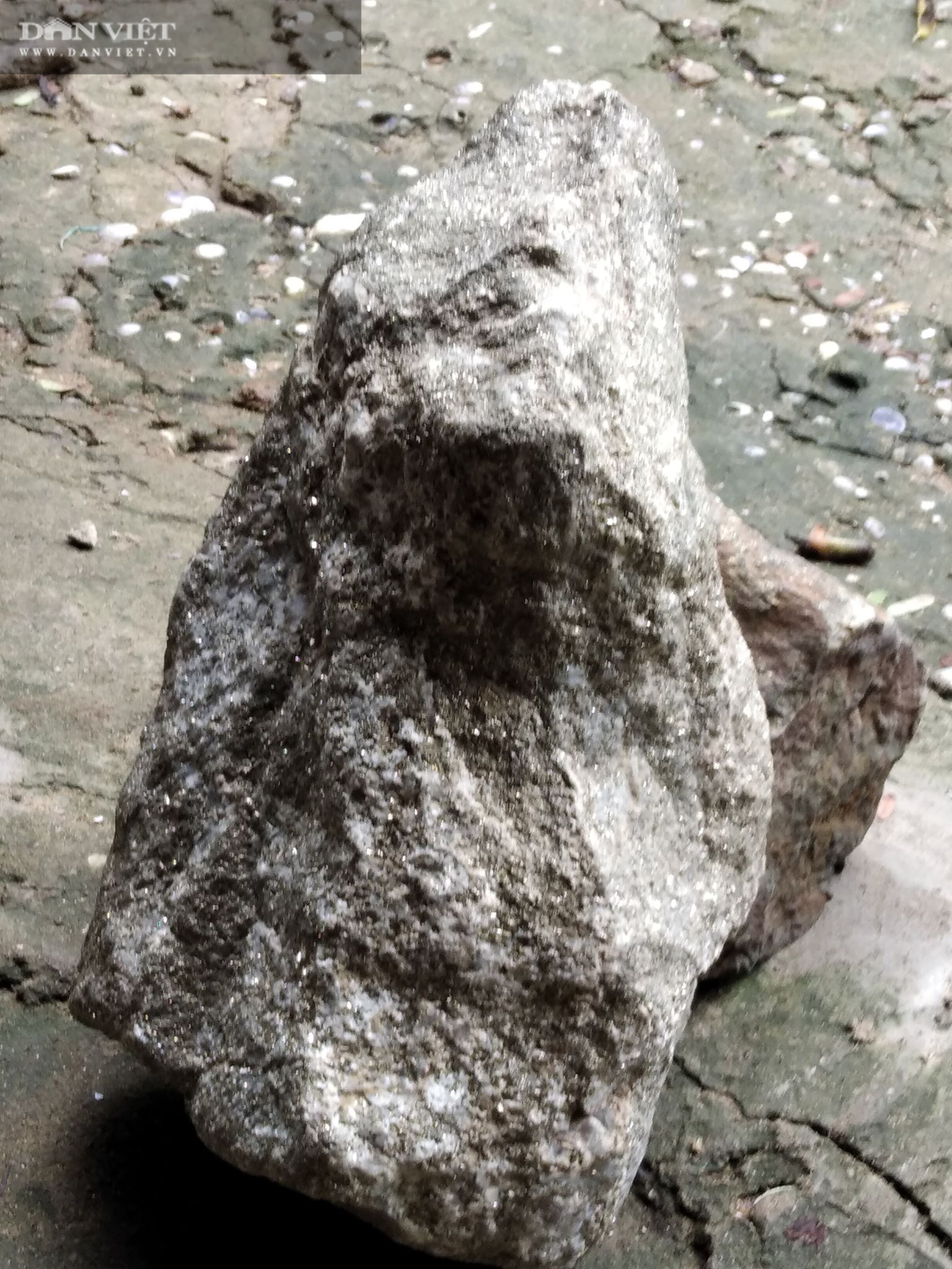 Nền đá Thô Và Cỏ Cục đá Cục Hình Chụp Và Hình ảnh Để Tải Về Miễn Phí   Pngtree