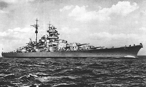 Bí ẩn chú mèo sống sót trên 3 chiến hạm bị đánh chìm thời Thế chiến II - Ảnh 1.