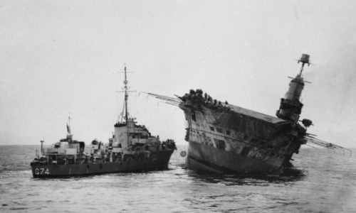 Bí ẩn chú mèo sống sót trên 3 chiến hạm bị đánh chìm thời Thế chiến II - Ảnh 2.