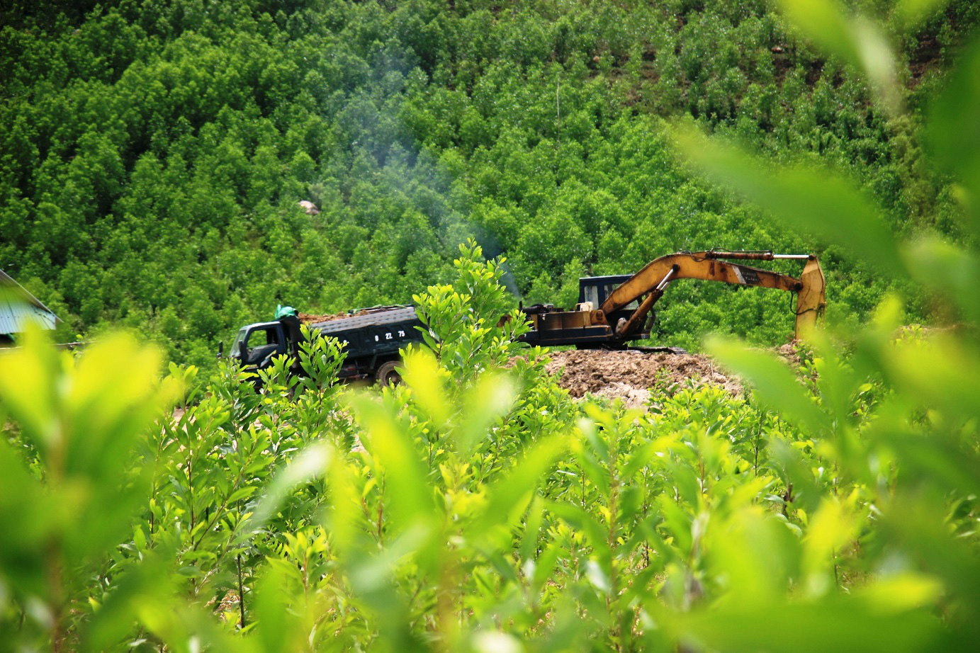 “Náo loạn” khai thác đất trái phép, trước mặt trụ sở Ủy ban xã: Huyện không biết(?) - Ảnh 1.