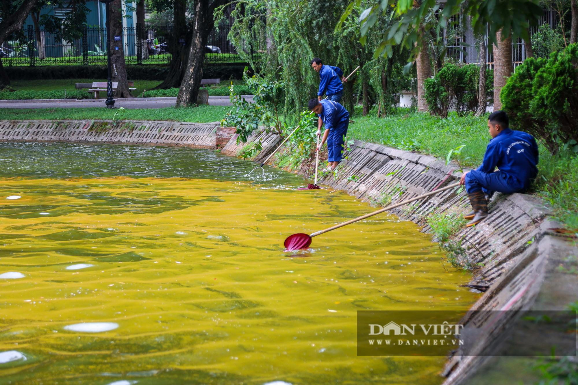 Hà Nội: Mặt nước hồ Bách Thảo bất ngờ chuyển màu vàng lạ mắt - Ảnh 7.