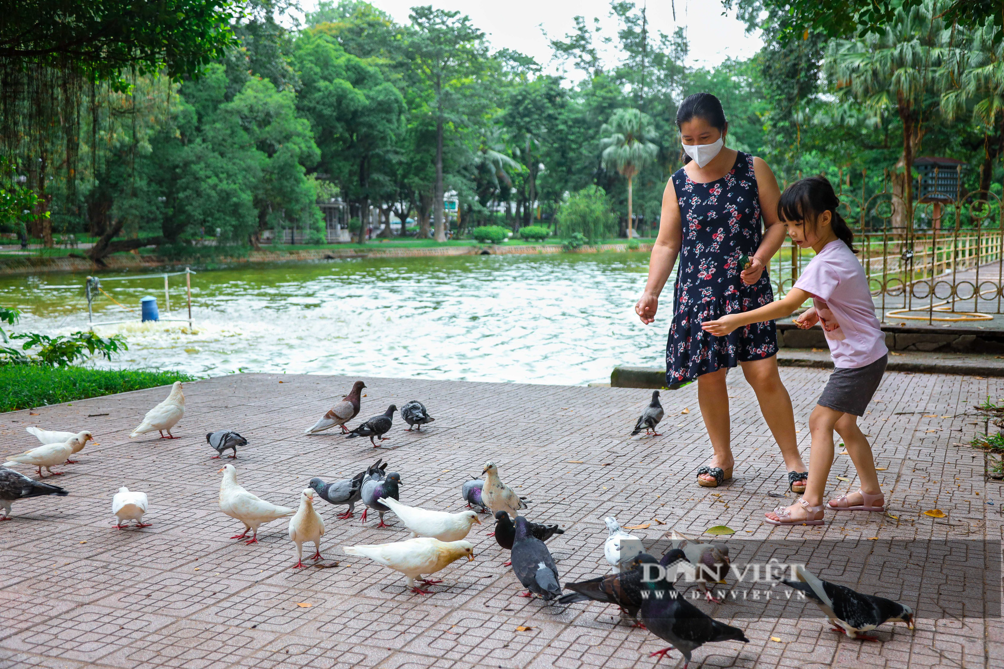 Hà Nội: Mặt nước hồ Bách Thảo bất ngờ chuyển màu vàng lạ mắt - Ảnh 11.