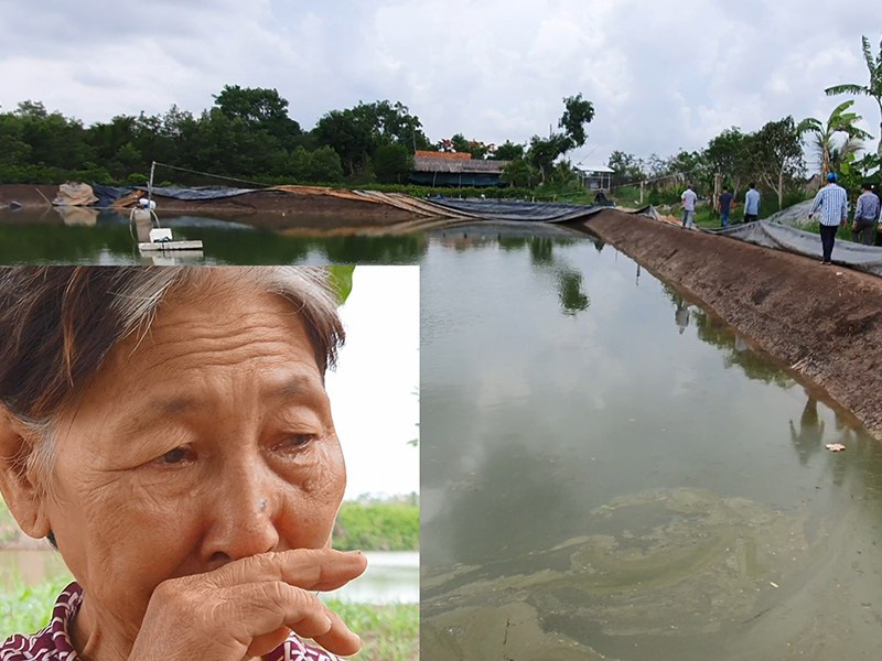 Cà Mau: Dân nuôi tôm khổ đau, bỏ xứ mà đi không phải vì dịch bệnh, giá thấp mà vì...nạn trộm tôm - Ảnh 1.