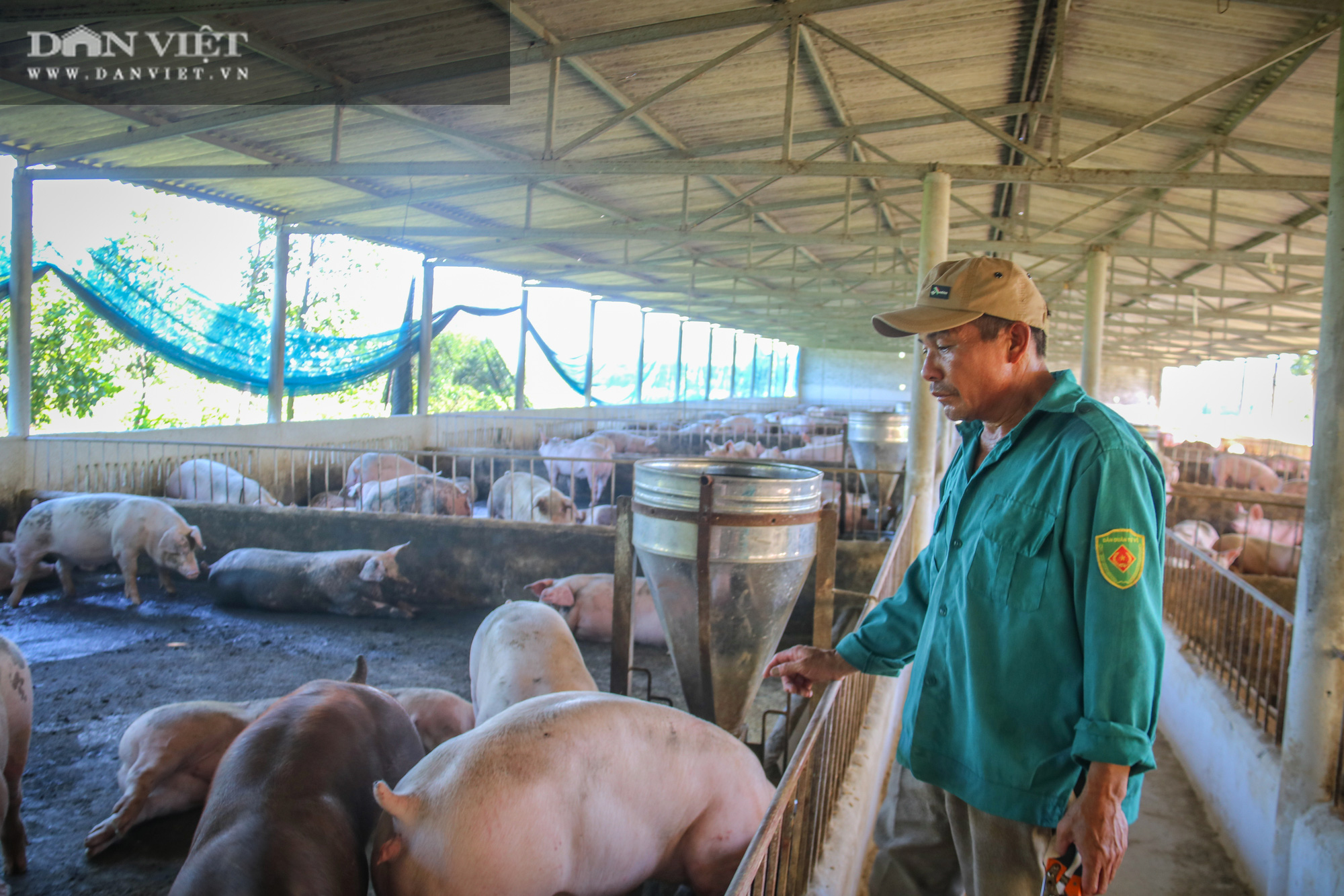 Hà Tĩnh: Lão nông “liều” lên núi đá làm trang trại, thành công bất ngờ - Ảnh 4.