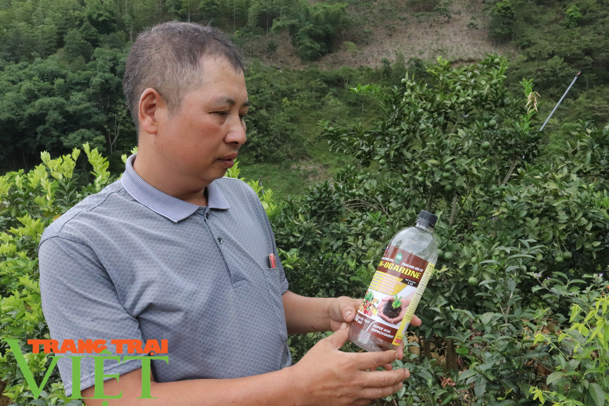 Lão nông Sơn La làm giàu từ trồng cây ăn quả - Ảnh 7.