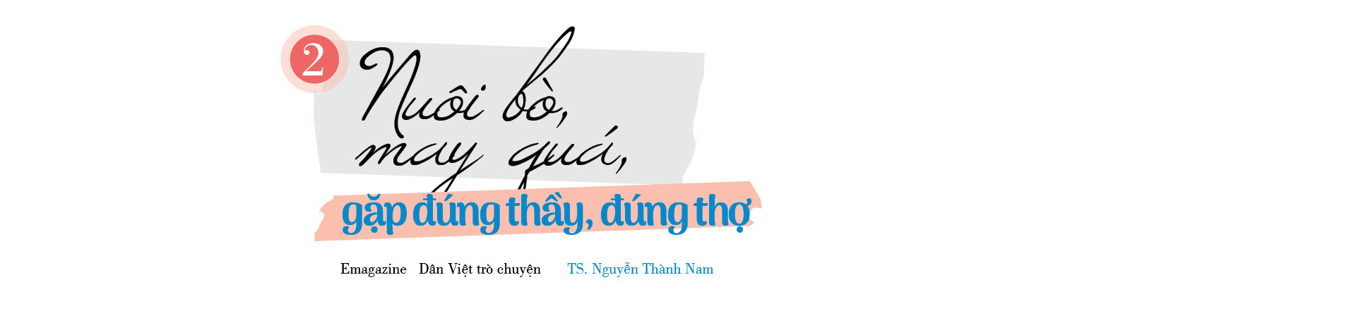 TS Nguyễn Thành Nam – Từ người tham gia sáng lập FPT đến khởi nghiệp, nuôi bò - Ảnh 5.