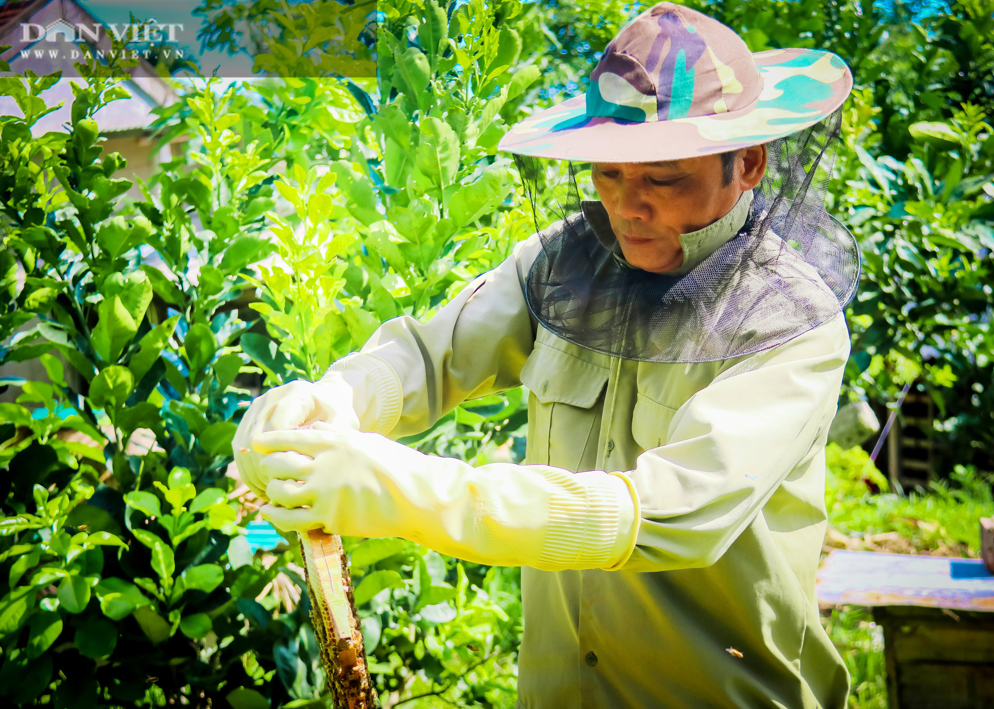 Người Hà Tĩnh thoát nghèo nhờ nuôi loài côn trùng nhỏ bé nhưng siêng năng, chăm chỉ - Ảnh 1.