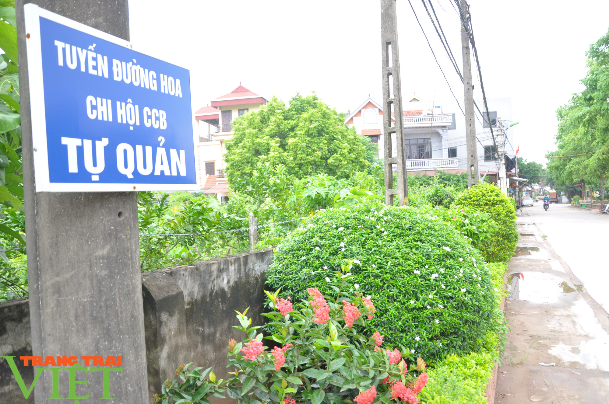 Ông Bí thư &quot;2 giỏi&quot; ở Đan Phượng - Ảnh 2.