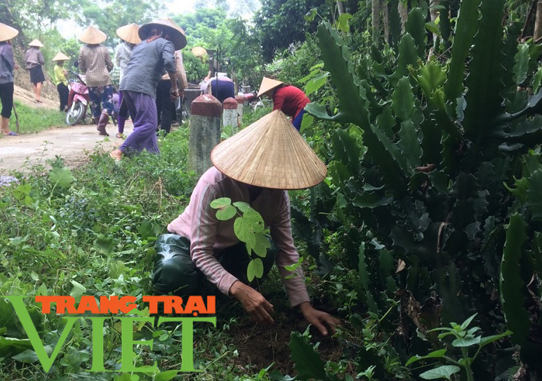Hội Nông dân Mai Châu vận động các hội viên bảo vệ và phát triển rừng - Ảnh 1.