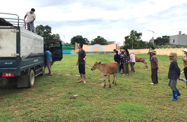 Thanh Hóa: Hội Nông dân TP. Thanh Hóa trao 24 bò sinh sản để hộ nghèo thoát nghèo bền vững  - Ảnh 2.
