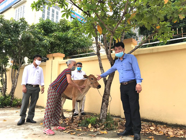 Thanh Hóa: Hội Nông dân TP. Thanh Hóa trao 24 bò sinh sản để hộ nghèo thoát nghèo bền vững  - Ảnh 1.