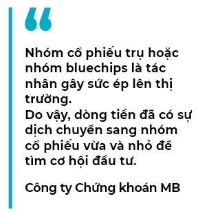 Sức hút của cổ phiếu vừa và nhỏ - Ảnh 2.