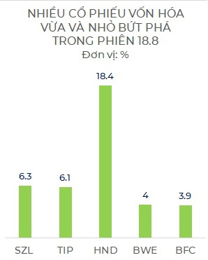 Sức hút của cổ phiếu vừa và nhỏ - Ảnh 3.