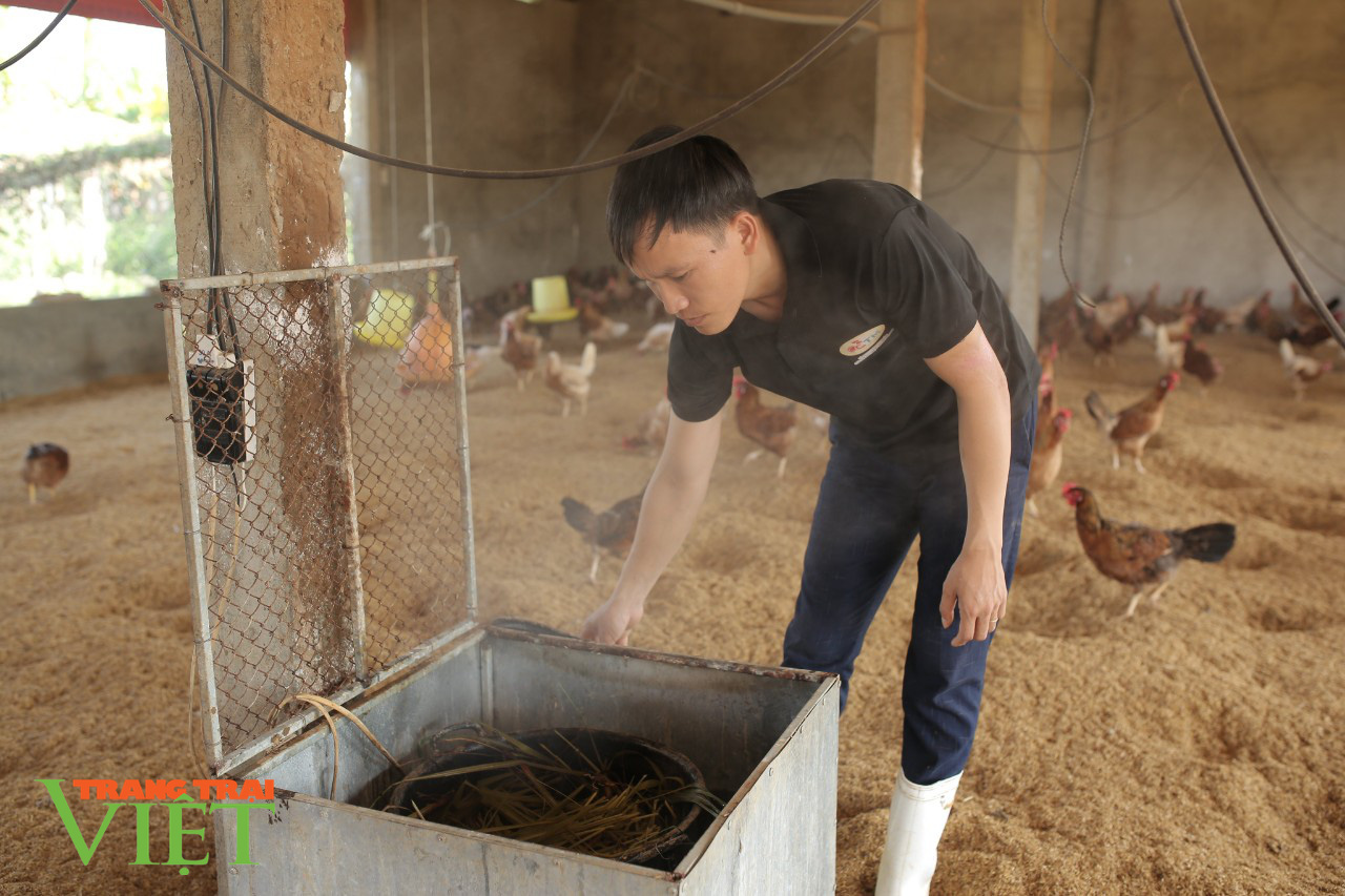 Độc đáo: Trang trại &quot;nói không&quot; với dịch bệnh nhờ... xông thuốc, cho gà ăn tảo xoắn - Ảnh 1.