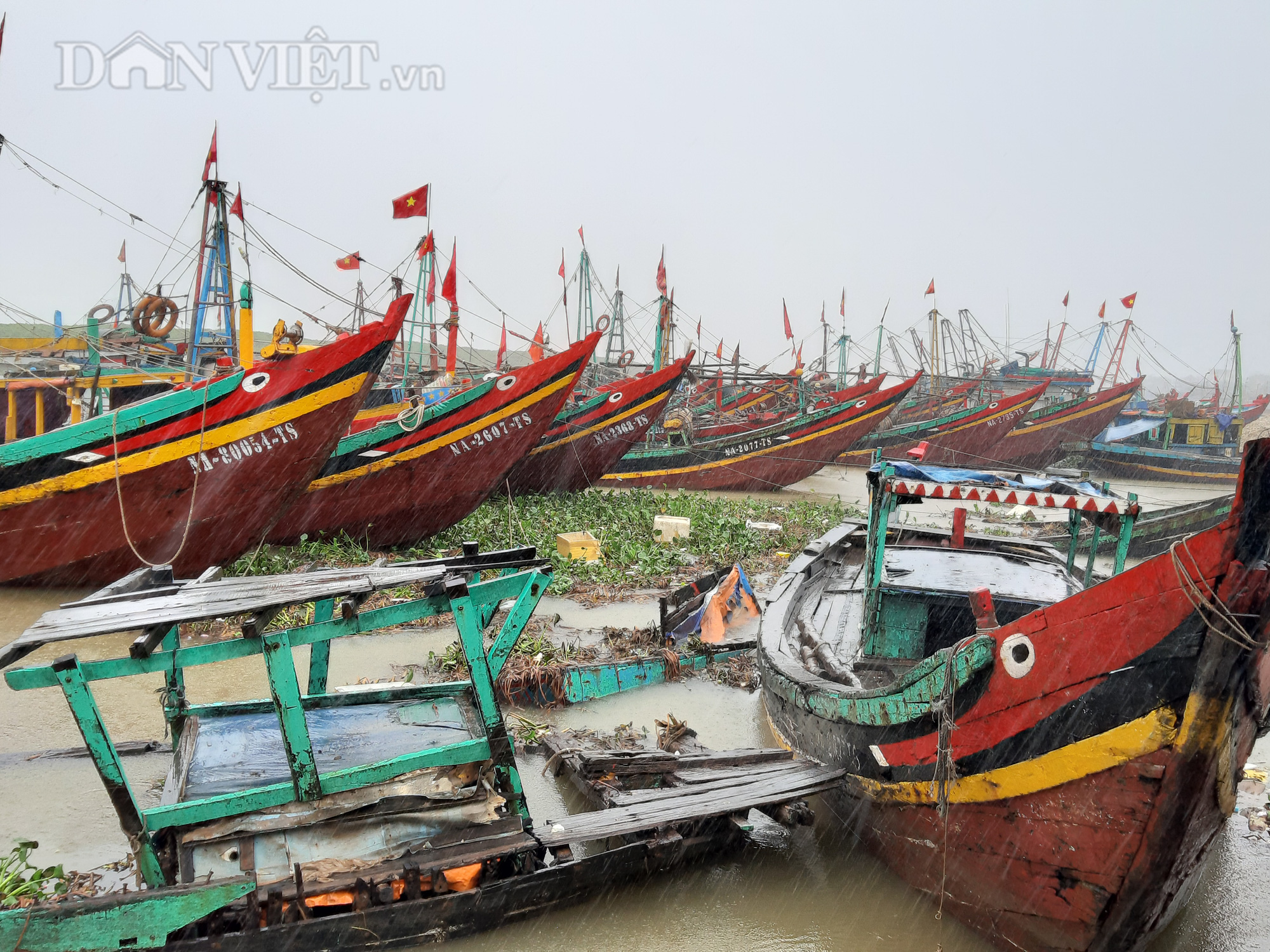 Ngư dân Nghệ An neo đậu tàu, thuyền an toàn trước giờ bão số 2 đổ bộ - Ảnh 5.