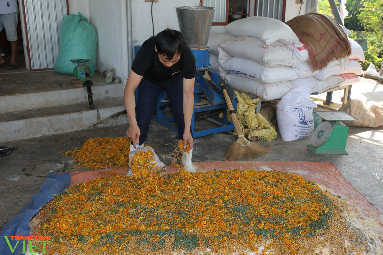 Độc đáo: Trang trại &quot;nói không&quot; với dịch bệnh nhờ... xông thuốc, cho gà ăn tảo xoắn - Ảnh 4.