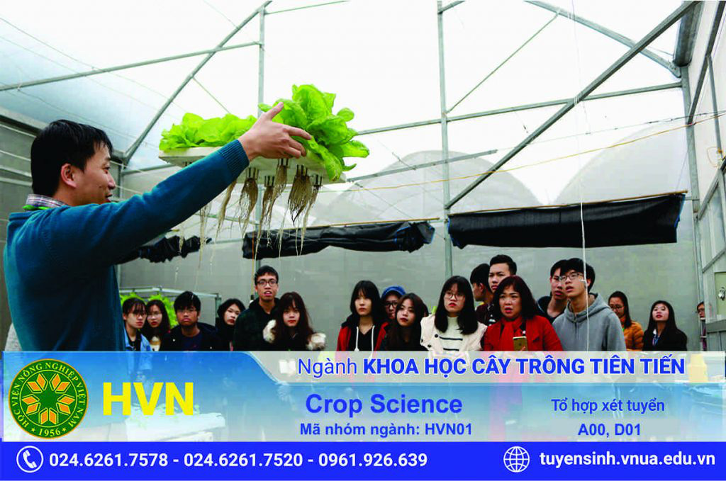 Có một ngành học mà 100% sinh viên có việc làm trong 6 tháng sau khi ra trường - Ảnh 1.