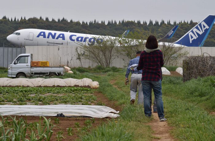 Bác nông dân từ chối 40 tỷ tiền bồi thường để trồng rau giữa sân bay lớn thứ hai Nhật Bản - Ảnh 2.