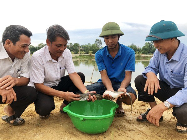 Hộ khá, giàu giúp hộ khó vươn lên thoát nghèo - Ảnh 1.