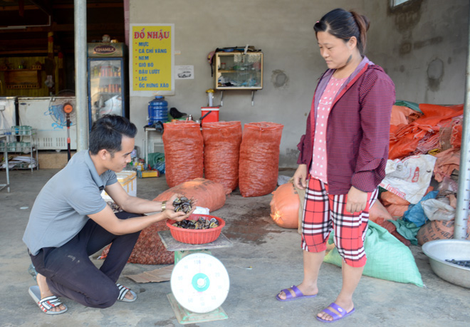 Trời tối, mặc muỗi đốt đỏ cả mặt, dân ở đây vẫn rủ nhau vô rừng mò bắt cả bao tải loài ốc lạ - Ảnh 1.