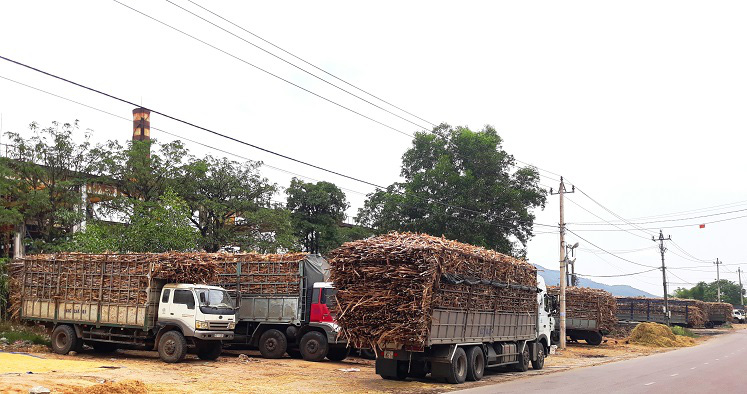 Hết thời hoàng kim, Công ty đường lâm nợ “khủng” hơn 1.000 tỷ, giải quyết ra sao?  - Ảnh 1.