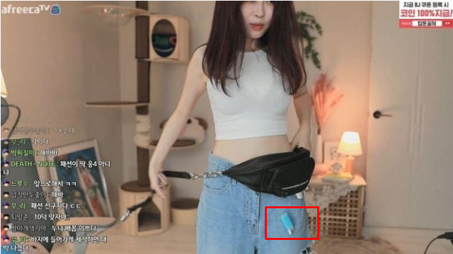 Nữ streamer đình đám Hàn Quốc để lộ món đồ nhạy cảm, bị tố là kẻ dối trá - Ảnh 2.