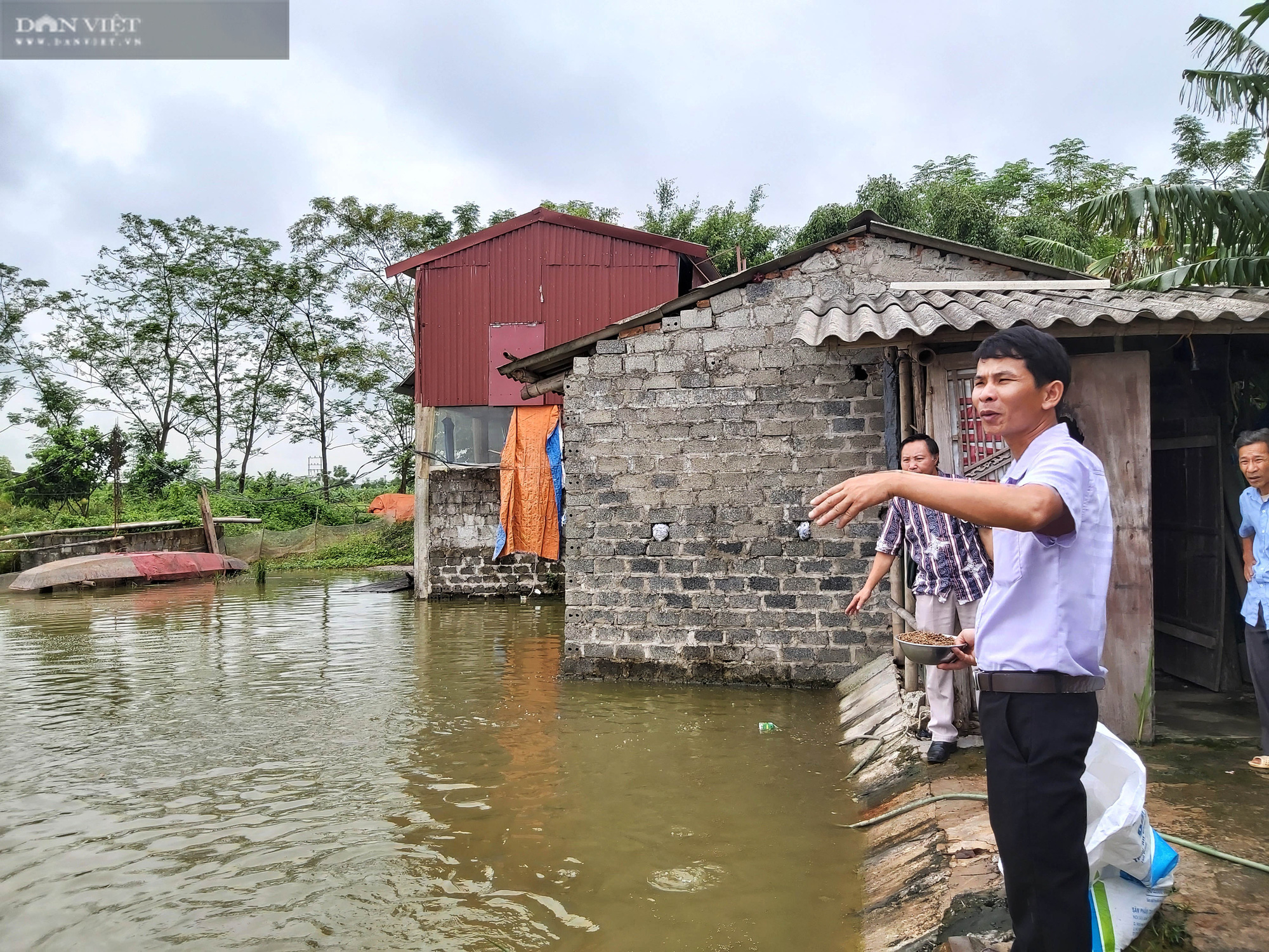 Hà Nội: Thả cá trong ruộng lúa, ít phải chăm cá lại lớn nhanh, nông dân để ra cả trăm triệu - Ảnh 6.