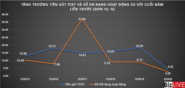 Sau khi liên tục tăng cao, tiền gửi tổ chức kinh tế có dấu hiệu chậm lại - Ảnh 4.