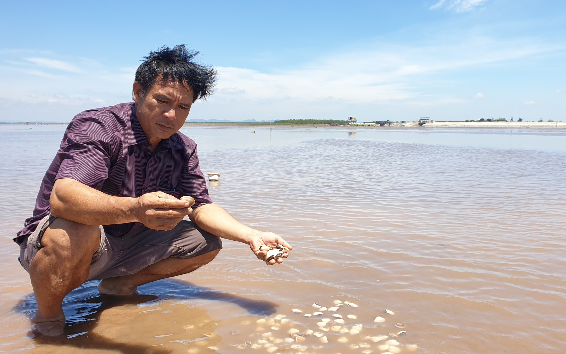 Ninh Bình: Vì &quot;con Covid&quot;, hàng ngàn tấn ngao đặc sản bán không ai mua, dân ngán ngẩm kêu trời