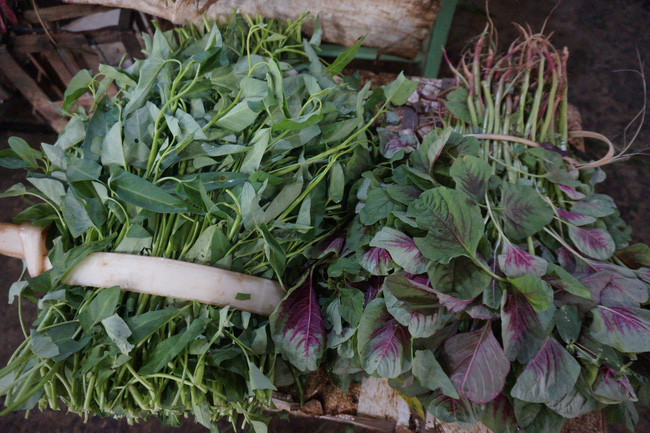 Giữa mùa dịch Covid-19, nông dân Đà Nẵng phấn khởi nhờ rau xanh được giá - Ảnh 7.