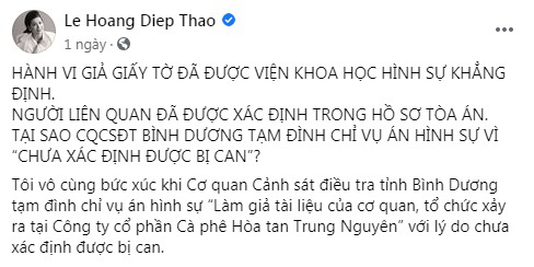 Công an Bình Dương đình chỉ vụ án “làm giả con dấu”, bà Lê Hoàng Diệp Thảo nói gì? - Ảnh 1.