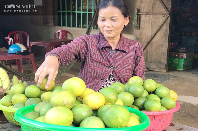 Quảng Ngãi: Mùa trái rừng đặc sản ở thủ phủ quế  - Ảnh 2.