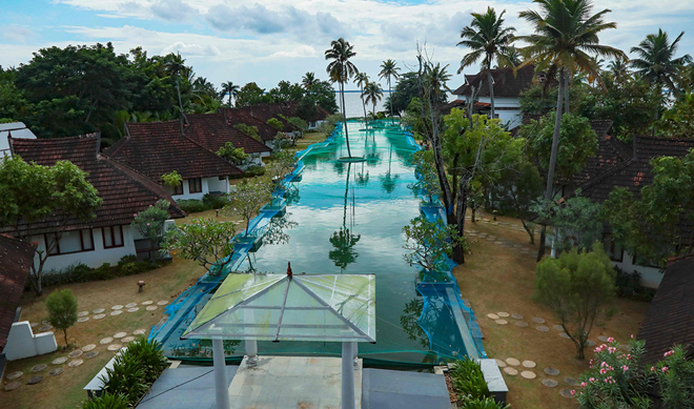 Resort hạng sang biến bể bơi thành hồ nuôi cá - Ảnh 1.