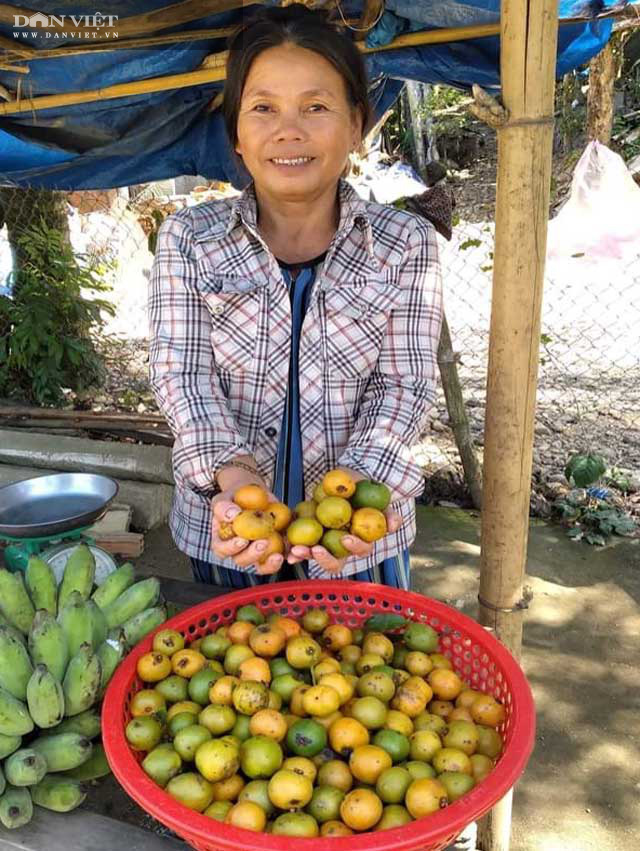 Quảng Ngãi: Ngọt chua &quot;măng cụt rừng&quot; hút hồn giới trẻ thị thành  - Ảnh 6.