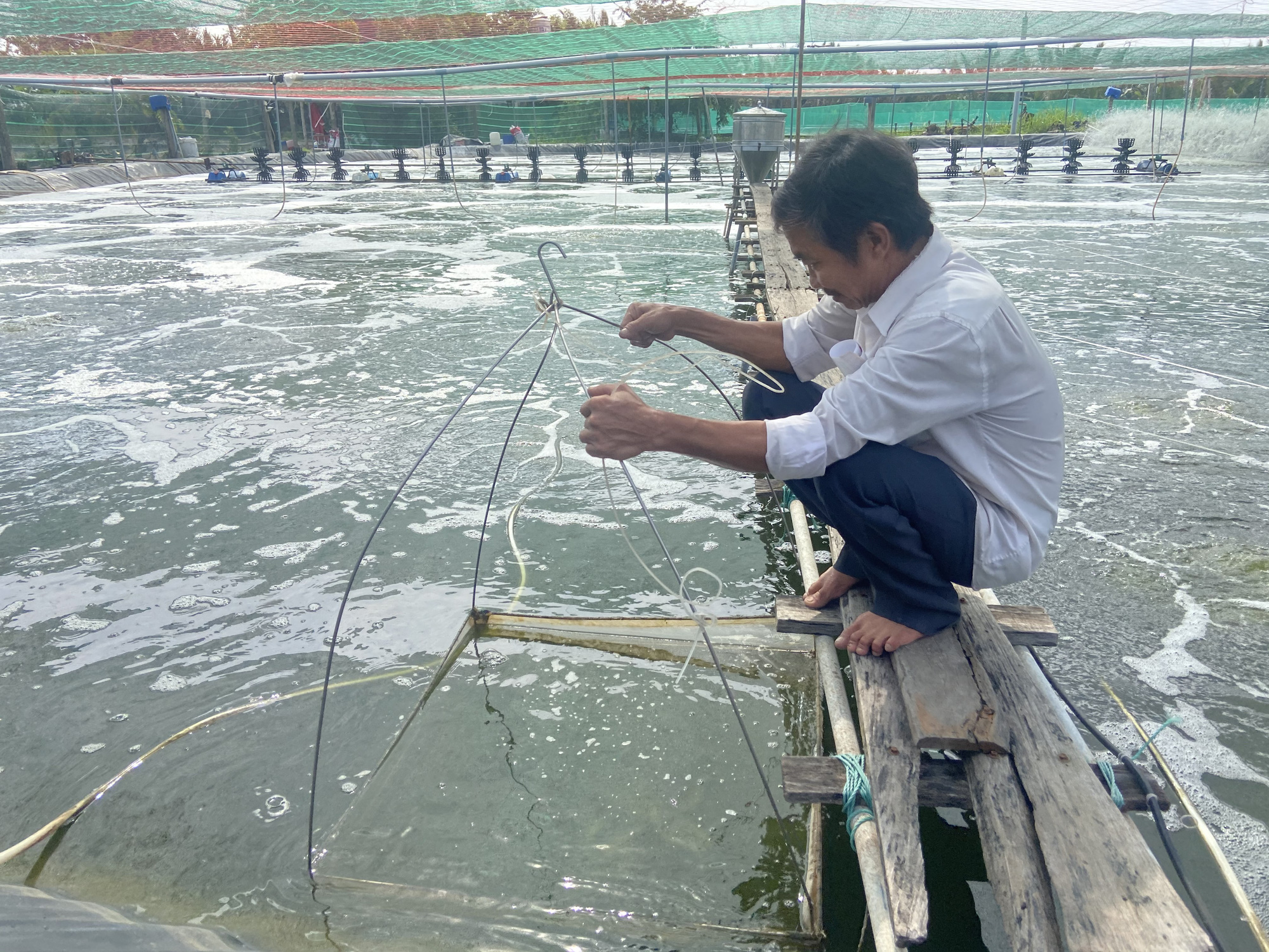 &quot;Liều&quot; nuôi tôm công nghệ cao dày đặc trên ao nổi, một nông dân tỉnh Đồng Nai thu 10 tỷ mỗi năm - Ảnh 3.