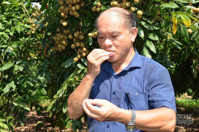 Bí quyết của một nhà vườn trồng nhãn muộn luôn thắng đậm - Ảnh 4.