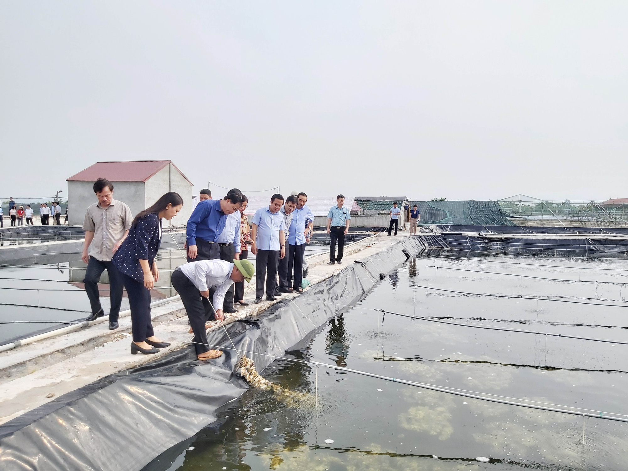 Một trang trại thu nhập 7 tỷ đồng từ nuôi hàu, tôm ở Ninh Bình được Bộ Trưởng NNPTNT tới thăm có gì đặc biệt? - Ảnh 4.