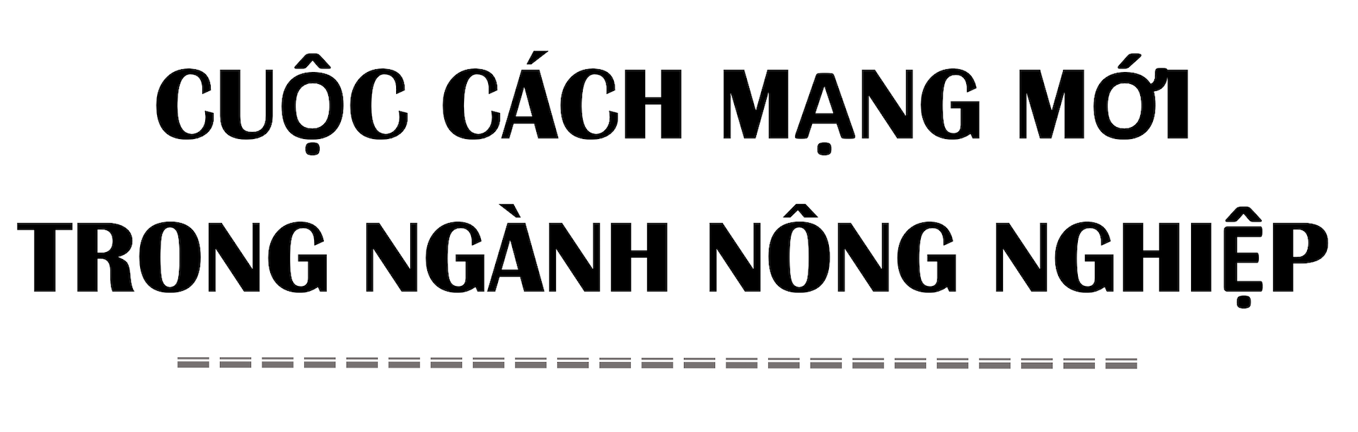 Bên trong nông trại đô thị trên mái nhà lớn nhất thế giới - Ảnh 8.