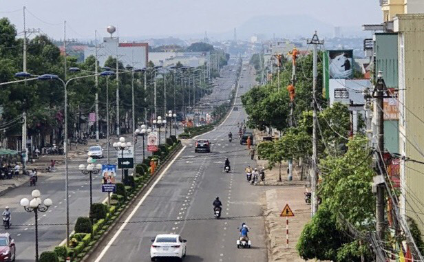 PC Gia Lai: Đầu tư hơn 46 tỷ đồng nâng cấp lưới điện khu vực thành phố Pleiku - Ảnh 1.