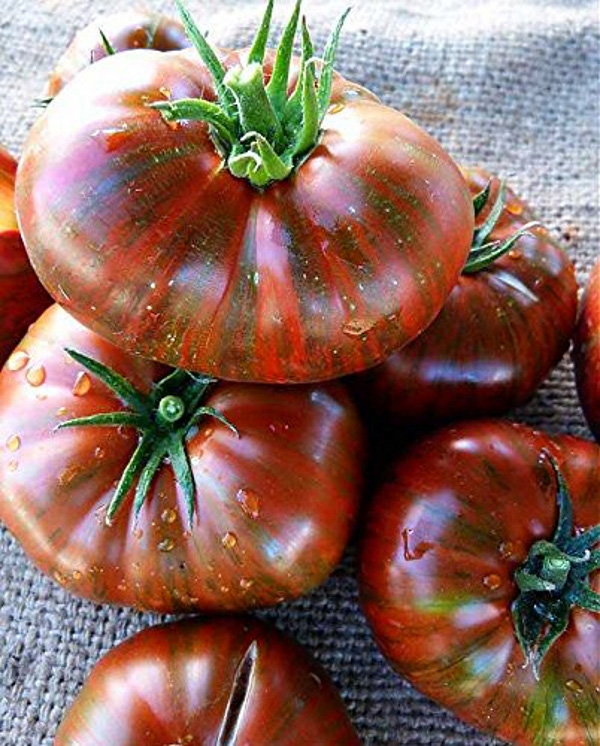 Những giống cà chua “siêu bổ-sạch-ngon” nhìn đã mê, ăn lại càng phê - Ảnh 2.