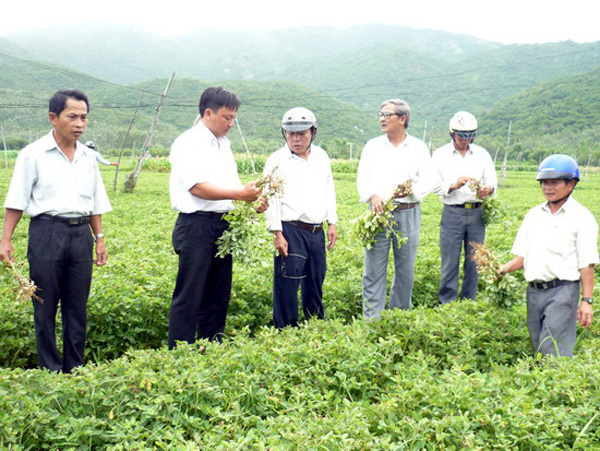 Nhà nông đất võ nắm rõ và tuân thủ pháp luật - Ảnh 1.