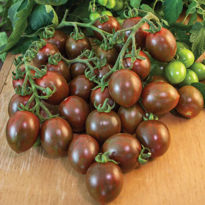 Những giống cà chua “siêu bổ-sạch-ngon” nhìn đã mê, ăn lại càng phê - Ảnh 11.