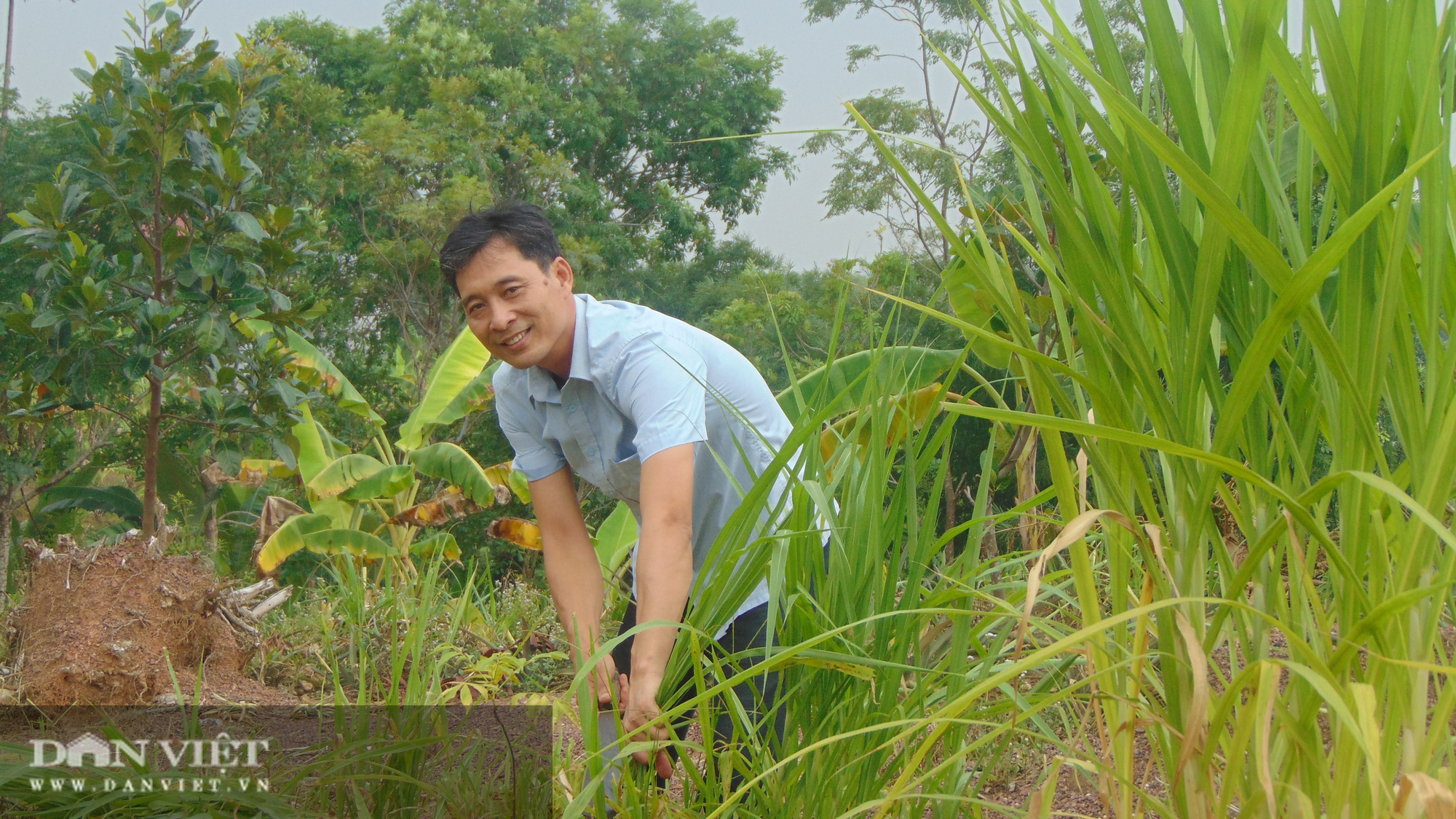 Thái Nguyên: Thu tiền tỷ mỗi năm nhờ nuôi hươu sao - Ảnh 3.