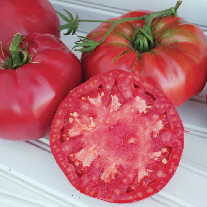 Những giống cà chua “siêu bổ-sạch-ngon” nhìn đã mê, ăn lại càng phê - Ảnh 4.