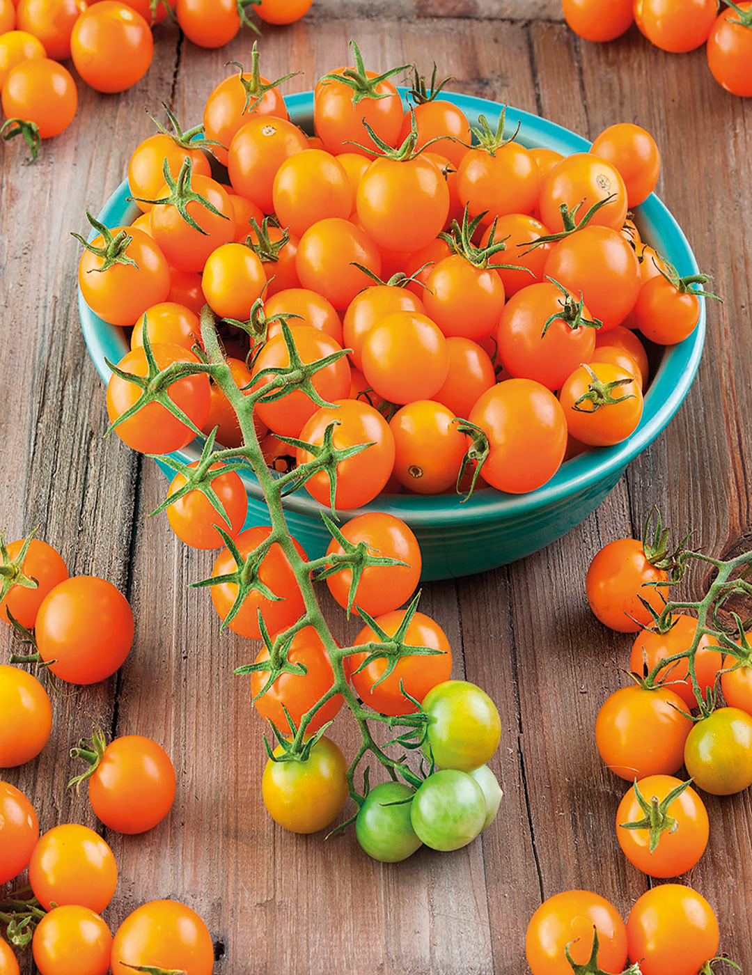 Những giống cà chua “siêu bổ-sạch-ngon” nhìn đã mê, ăn lại càng phê - Ảnh 10.