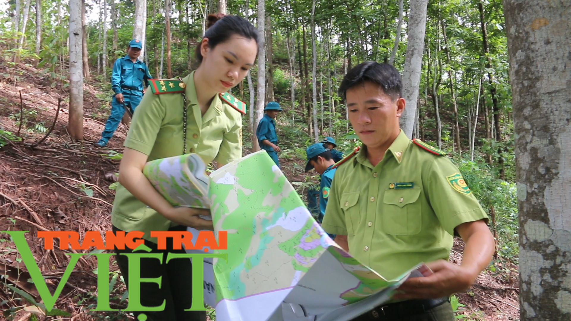 Hạt Kiểm lâm Yên Châu với công tác tuần tra bảo vệ rừng - Ảnh 6.