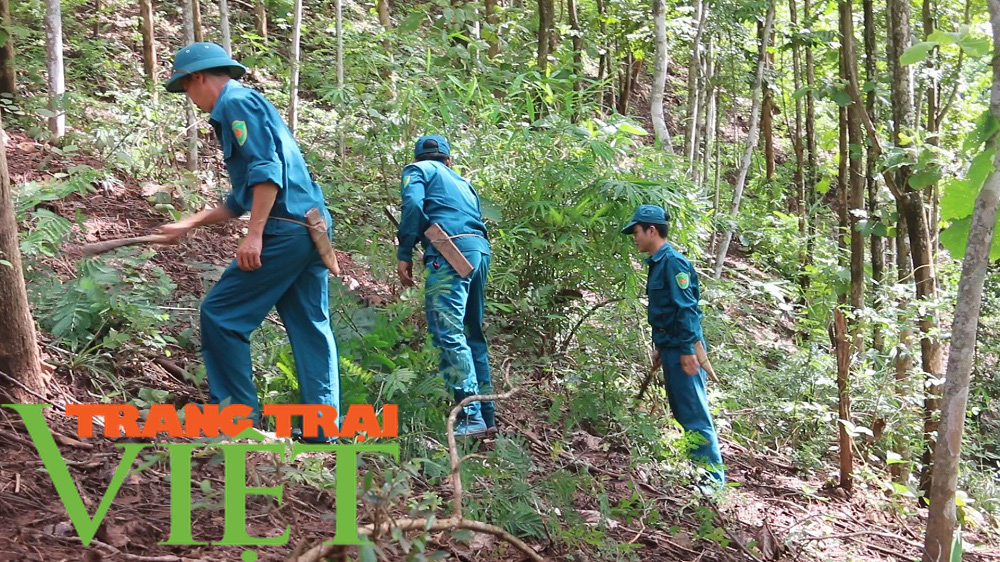 Hạt Kiểm lâm Yên Châu với công tác tuần tra bảo vệ rừng - Ảnh 2.