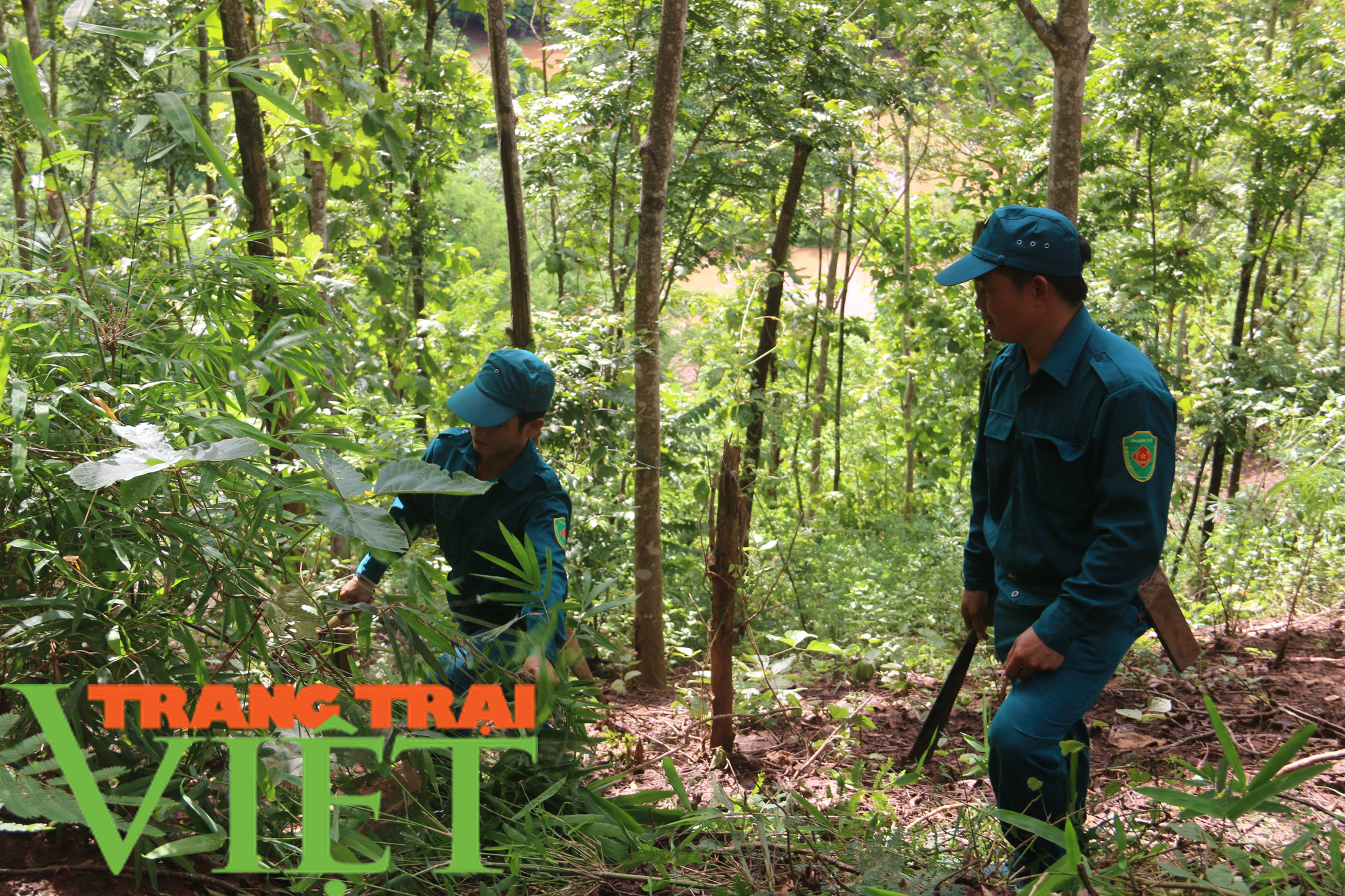 Hạt Kiểm lâm Yên Châu với công tác tuần tra bảo vệ rừng - Ảnh 7.