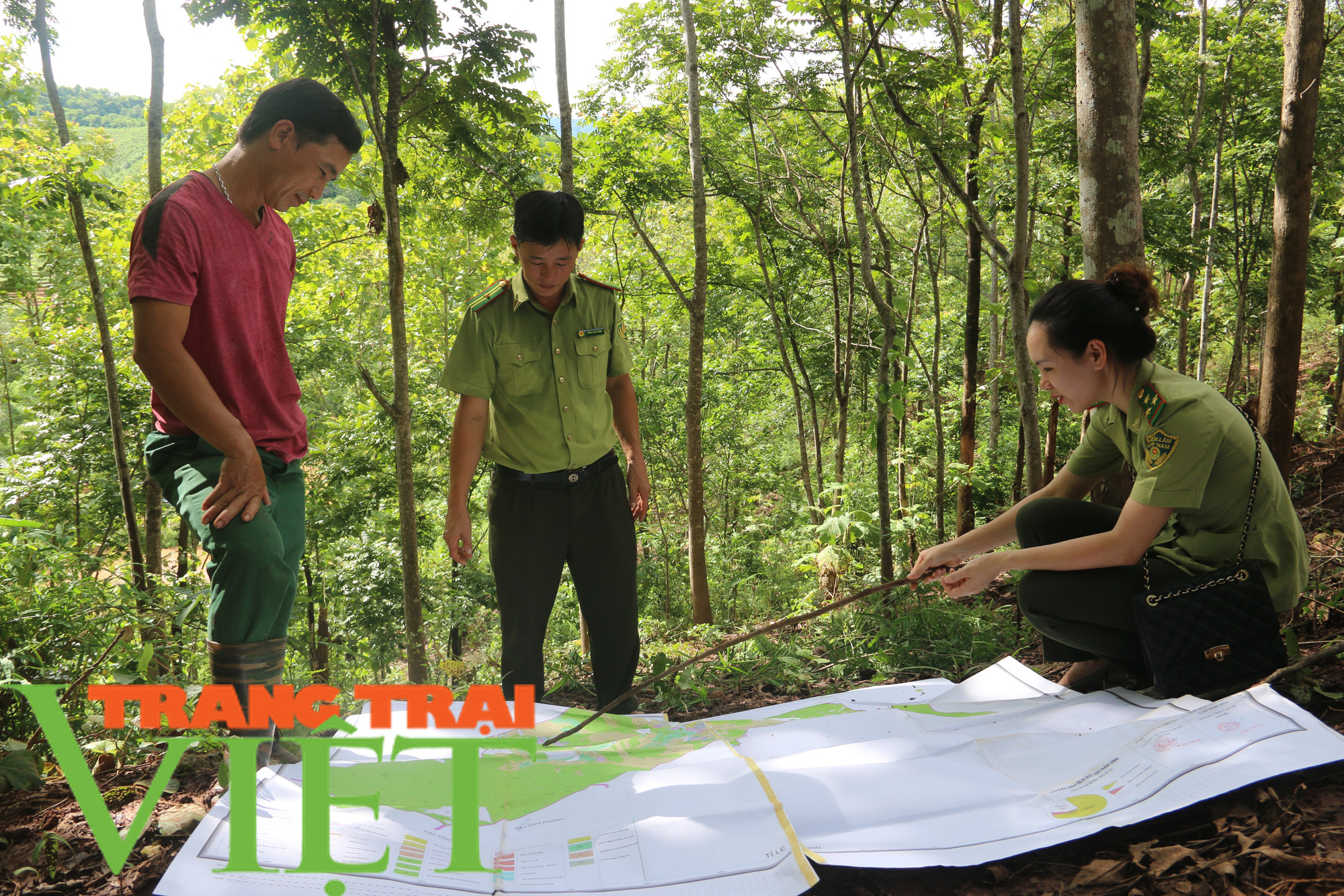 Hạt Kiểm lâm Yên Châu với công tác tuần tra bảo vệ rừng - Ảnh 5.